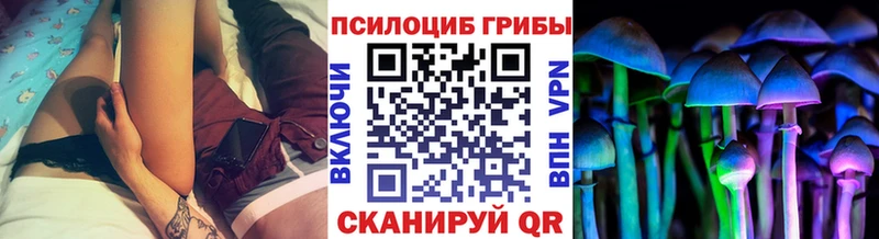 KRAKEN ССЫЛКА  Верещагино  Псилоцибиновые грибы Psilocybe 